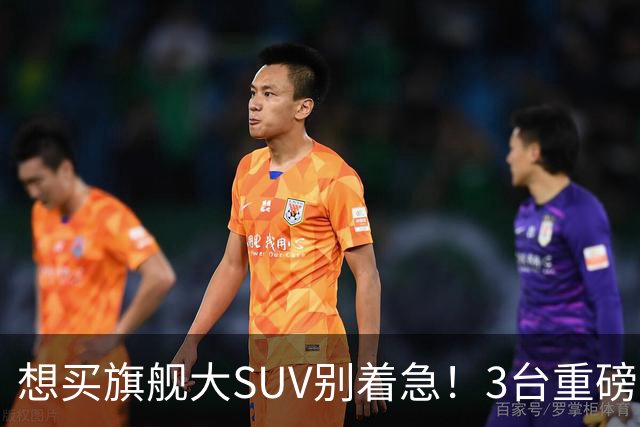 想买旗舰大SUV别着急！3台重磅新车在路上：全是大厂造